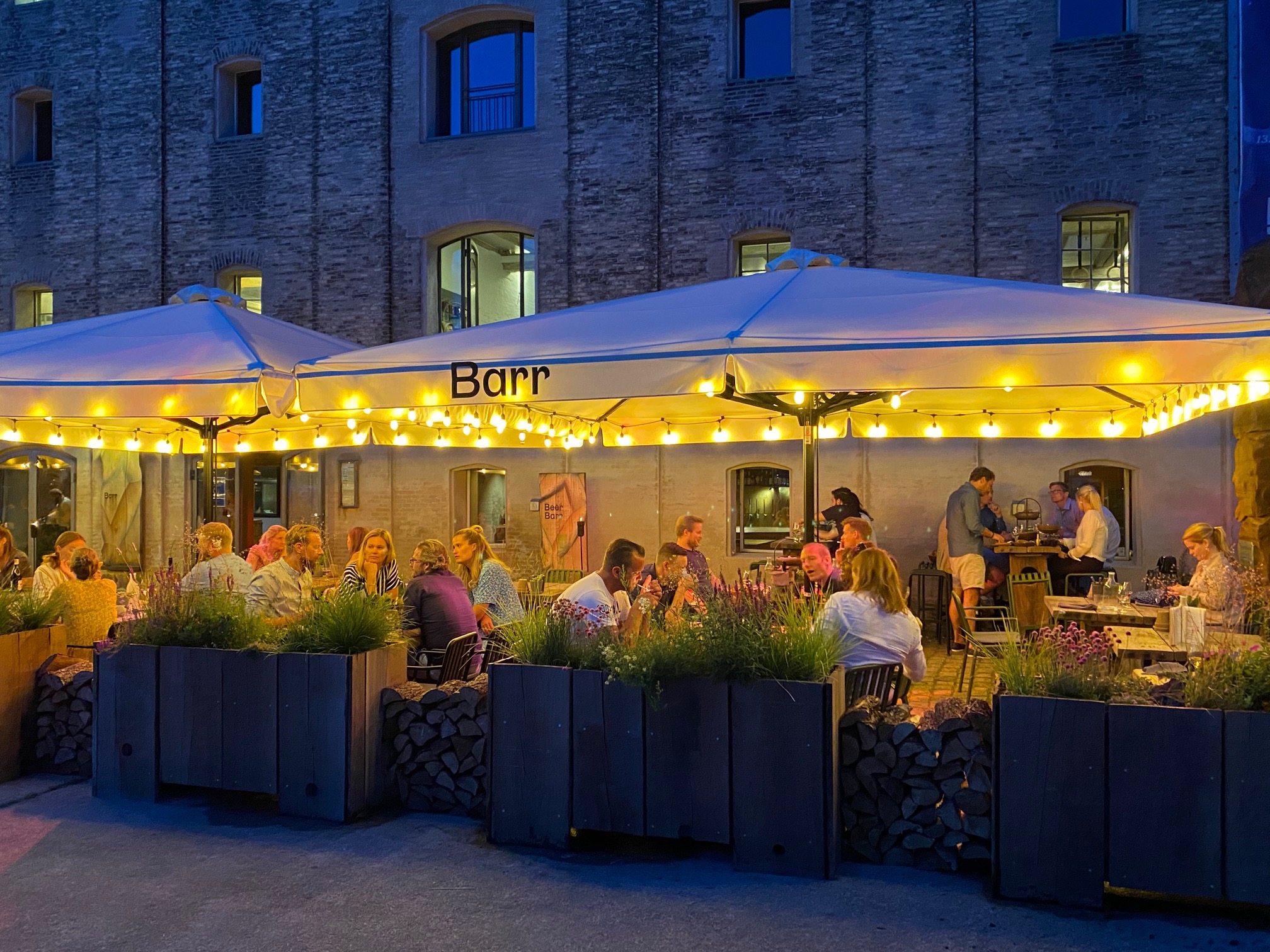 Dining in the garden